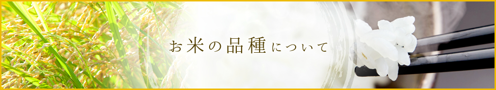 お米の品種について